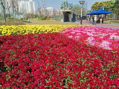 -文华公园(禅城区)