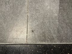 -桔子酒店(南京新街口张府园地铁站店)