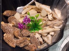 -名善山珍·野生菌汤锅(文殊院店)
