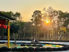 -上海海湾国家森林公园