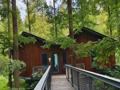 -黄海国家森林公园