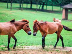 -杭州野生动物世界