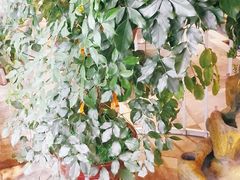 -蕃茄述·好汤自然来(江汉路店)