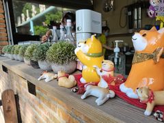 -柴犬高等学院·狗咖·柴犬售卖·宠物训练