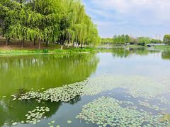 -尚贤河湿地