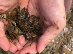-青岛银沙滩