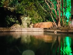 -清远熹乐谷温泉度假酒店