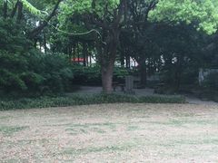 -汇龙潭