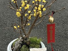 -F.Story 花和故事(新天地店)