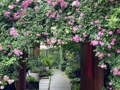 -谷咖啡·鲜花绿植花园餐厅