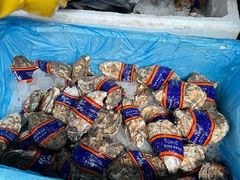 -众彩物流水产市场