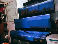 水产区-阿尔法海鲜排档(爱琴海店)