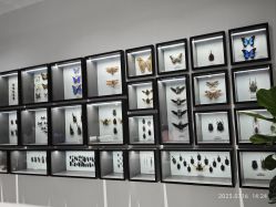 -酷嗒动物文化乐园(cutezoo西溪乐天城店)