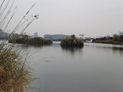 -桂溪生态公园