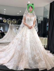 点击看大图 -艾米丽婚纱礼服