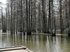 -池杉湖湿地公园