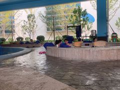 -南宫温泉水世界