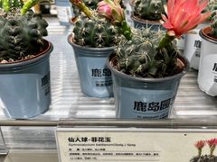-鹿岛生活(熙地港店)