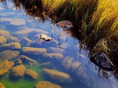 -塞罕坝国家级自然保护区