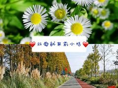 -前小桔亲子创意农场·草莓采摘·露营烧烤