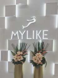 -深圳美莱医疗美容医院