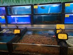 水产区-万宝海鲜舫(劳动公园店)