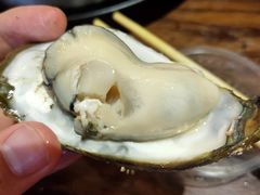 -土蚝·高压锅生蚝(百姓美食街店)