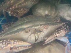 -宾朋海鲜特色美食餐厅·纯手工鲅鱼水饺(兴海路店)