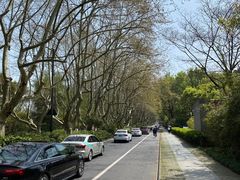 -家烧面馆【南山路知名经典面食】