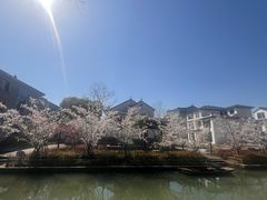 -同里国家湿地公园