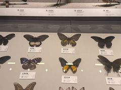 -四川大学博物馆
