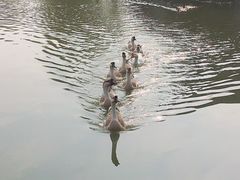 -木兰水镇旅游景区