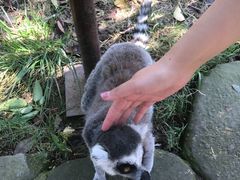-杭州野生动物世界