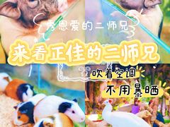 -正佳雨林生态植物园