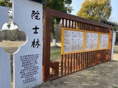 -九科绿洲