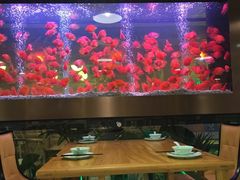 -御池园(顾村公园店)