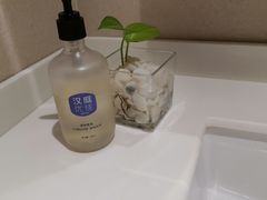 -汉庭优佳(成都一品天下蜀汉路东地铁站店)