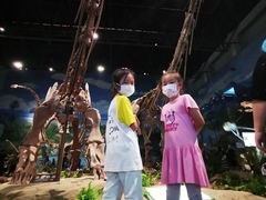 -自贡恐龙博物馆