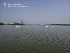 -金鸡湖景区