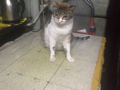 -胖姐盒饭(通达街店)