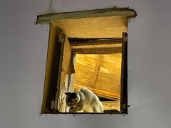 门面-郭师傅冰稀饭(人民路店)