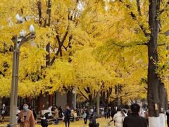 -四川大学(华西校区)