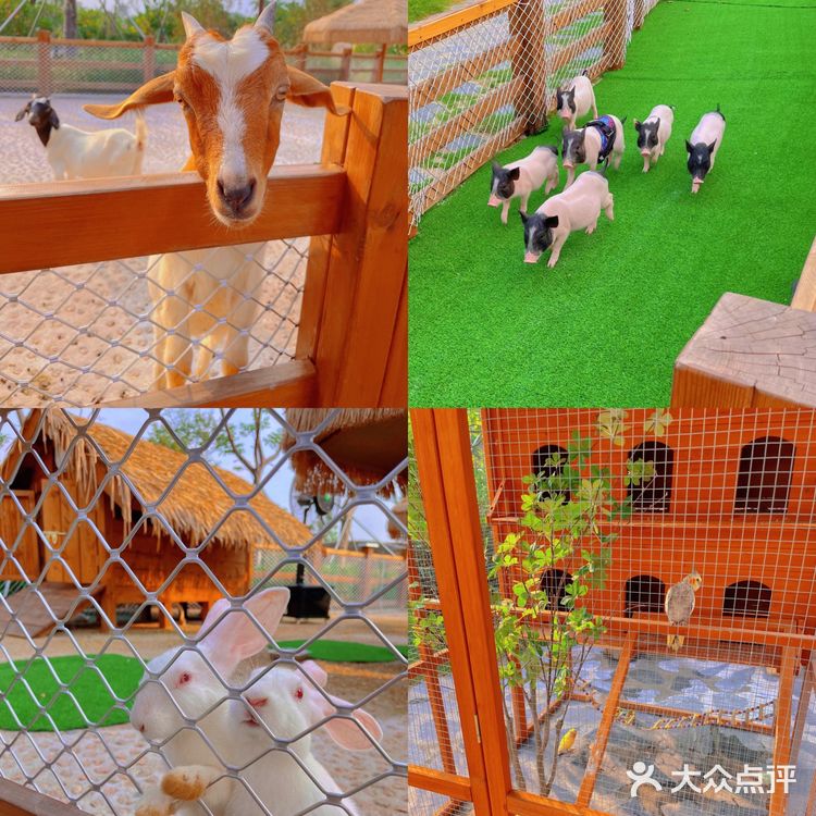 珠海海泉湾小矮人部落，梦想中的童话世界🏕