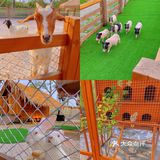 珠海海泉湾小矮人部落，梦想中的童话世界🏕