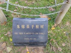 -深圳国际园林花卉博览园