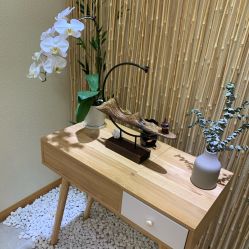 -颜和骨正·明哲式骨相美学整骨
