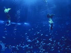 -南昌融创海世界