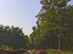 -滨湖塘西河公园