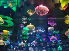 -沙沙哗啦海洋馆(华宇百花谷店)