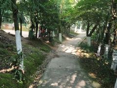 -青龙山公园